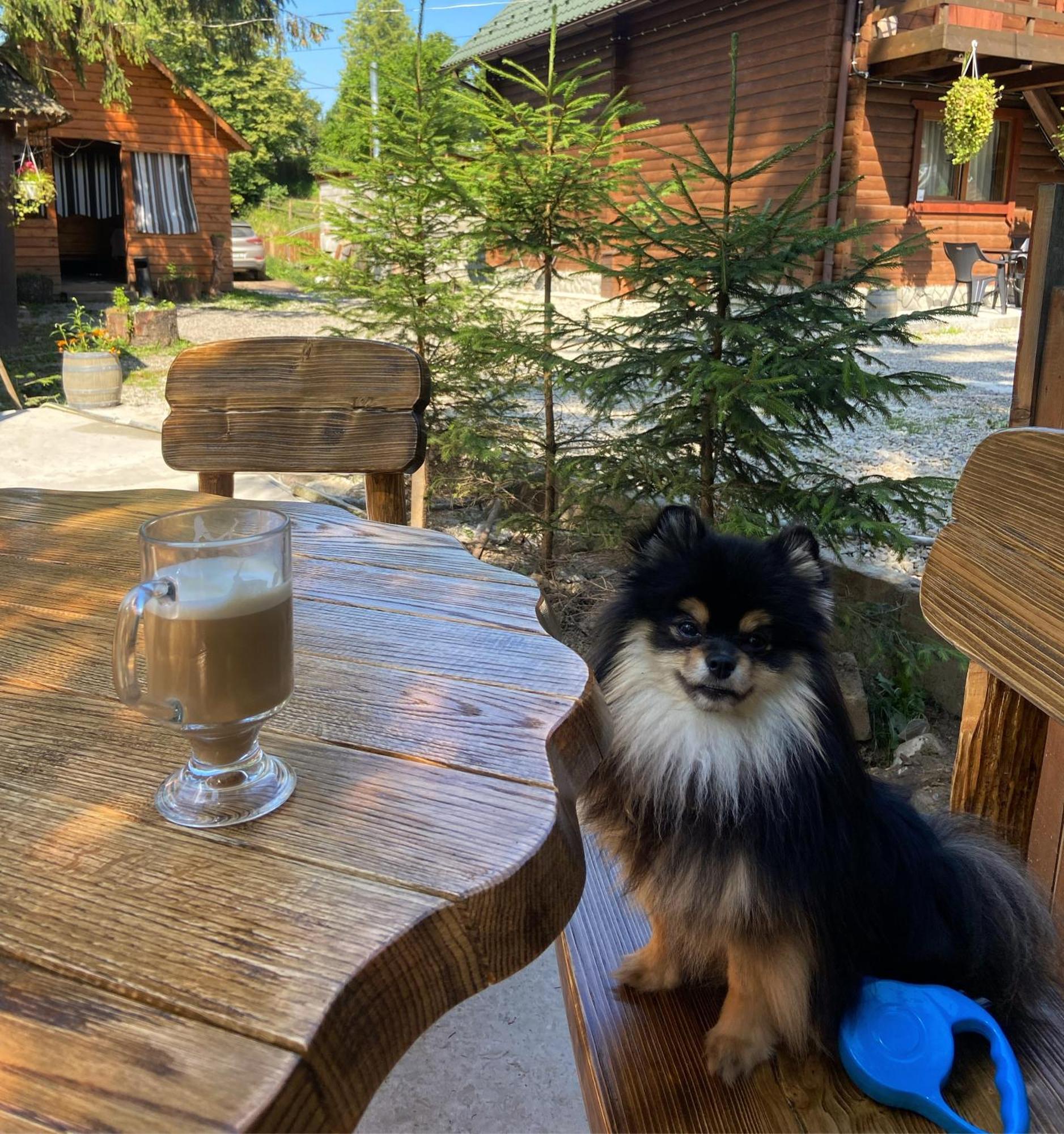 Водограй Otel Vorokhta Dış mekan fotoğraf